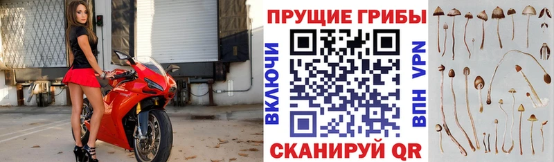 даркнет наркотические препараты  Лахденпохья  Псилоцибиновые грибы MAGIC MUSHROOMS 